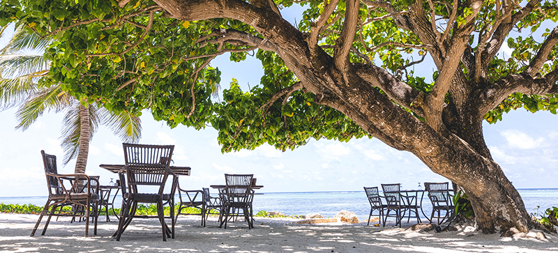Go Local, Learn About Authentic Zanzibar Life